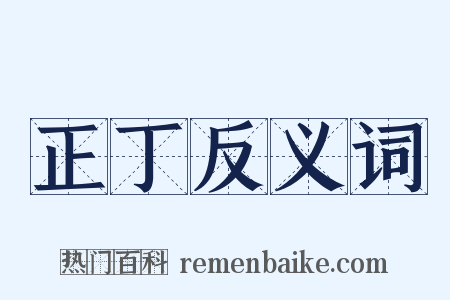 正丁反义词是什么意思的图片